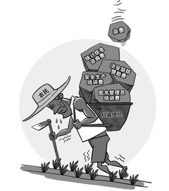 信息咨询落地为实 从理论到实践的桥梁