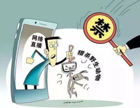 科技频道 | 中国网信息咨询平台 连接科技与未来的信息枢纽